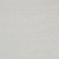 Ковролин AW Sentiment 90 фото 1 | FLOORDEALER